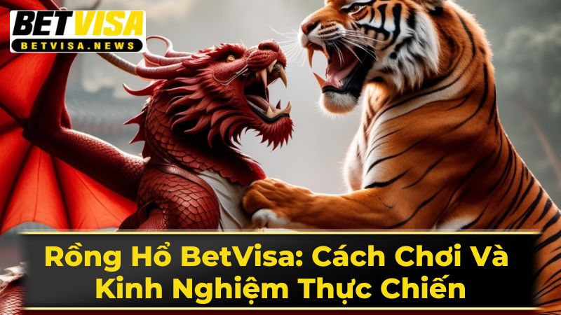 Chiến Thuật Chơi Rồng Hổ Chuyên Nghiệp
